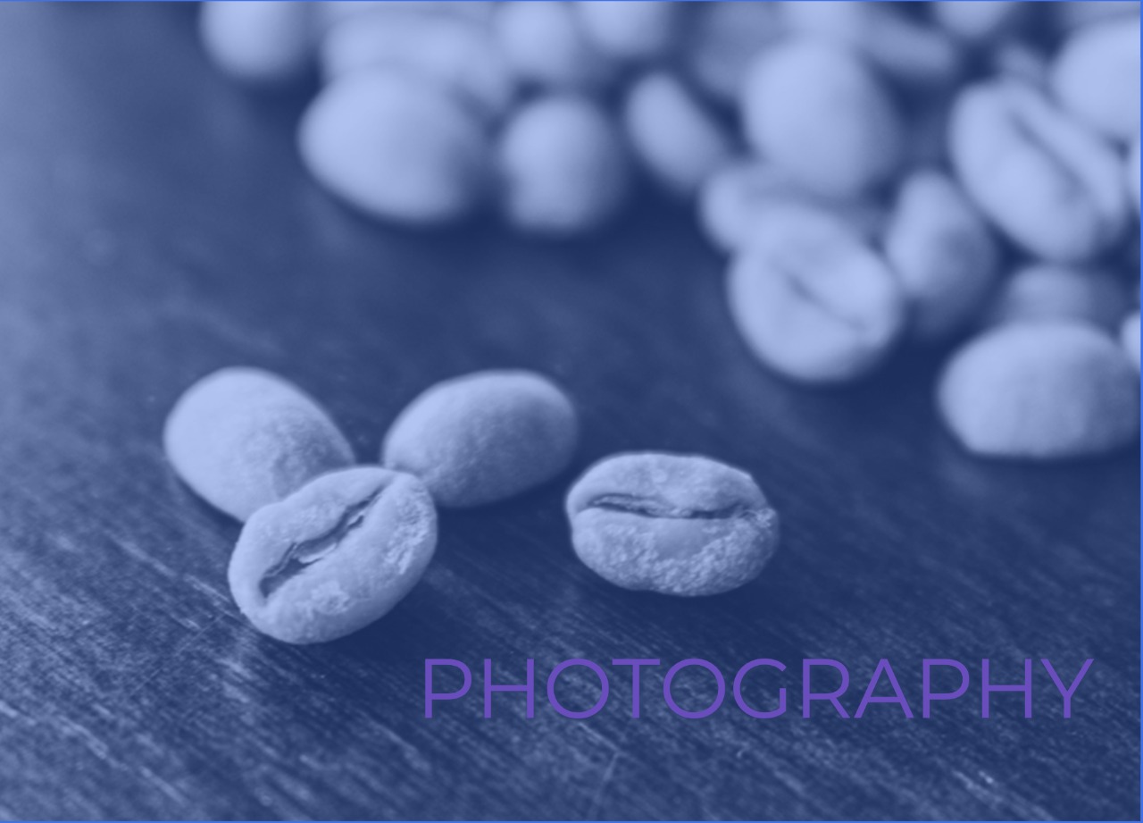 Photography section with image of green coffee beans